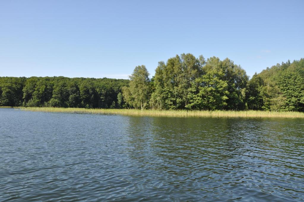 Przyroda w pobliżu tego apartamentu