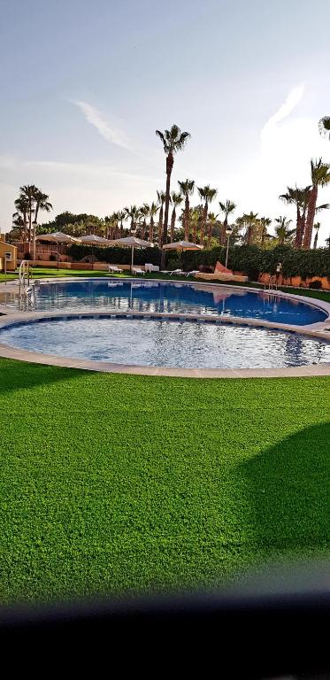 a large pool of water in a park with palm trees at ACAPULCO III MARINA DÓR in Oropesa del Mar
