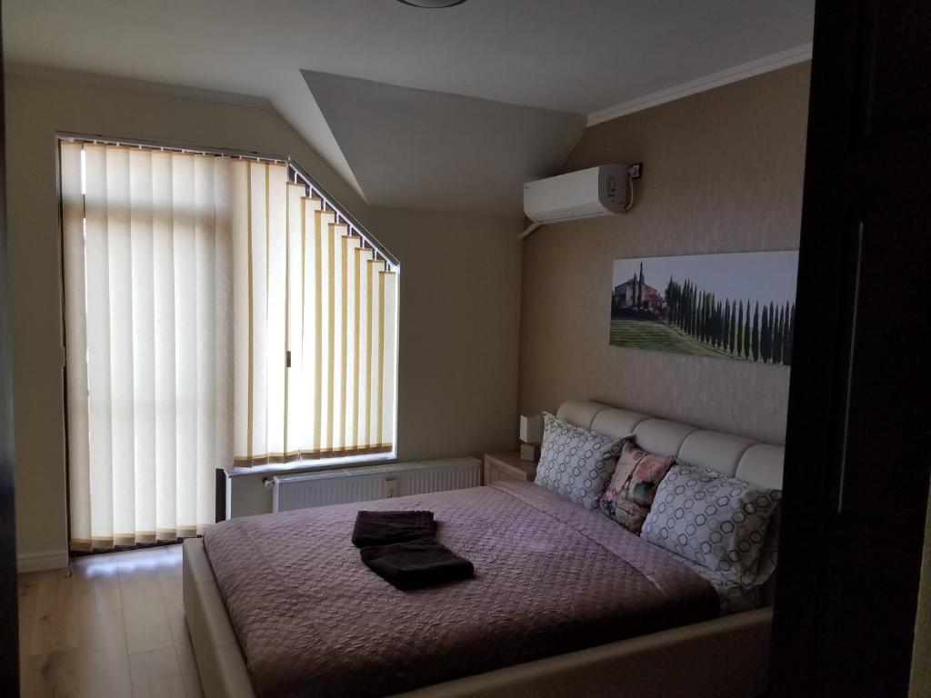 um quarto com uma cama e uma grande janela em La Siesta Apartments Oradea em Oradea