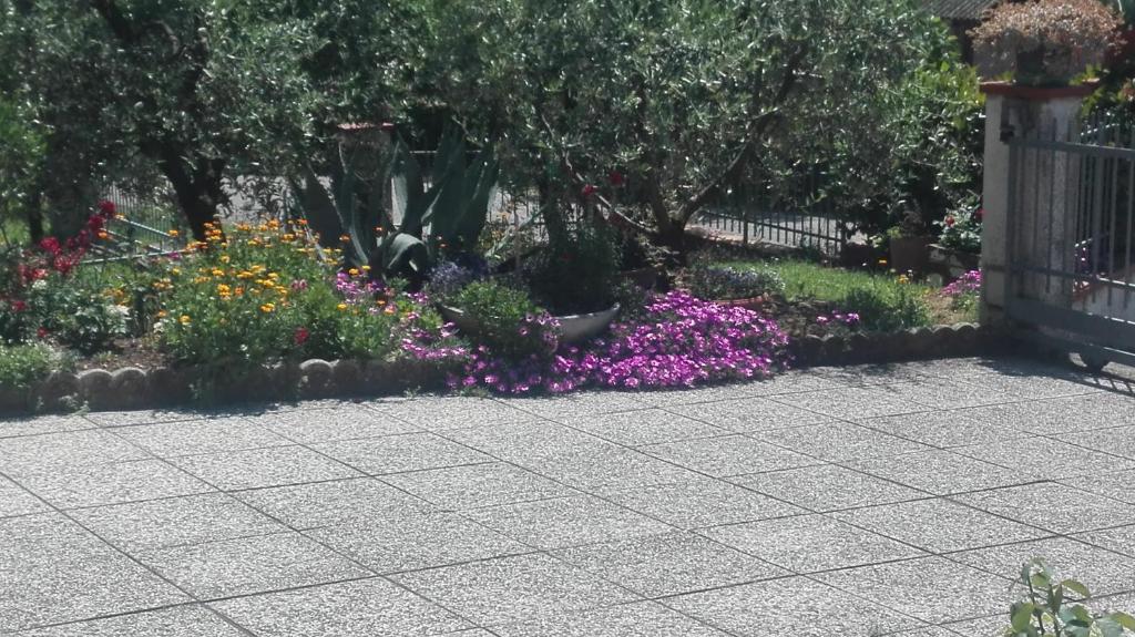 Ogród w obiekcie B&B RIPALTA