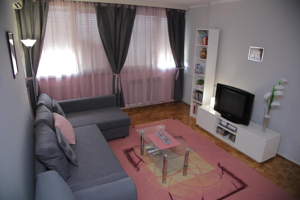 un soggiorno con divano e TV di Apartment Duluta a Belgrado