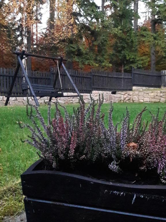 Zahrada ubytování Willa pod lasem