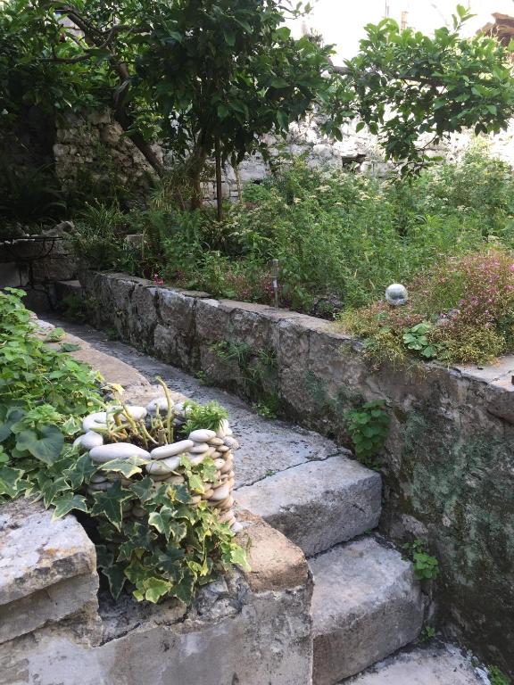 Aed väljaspool majutusasutust Španić palace