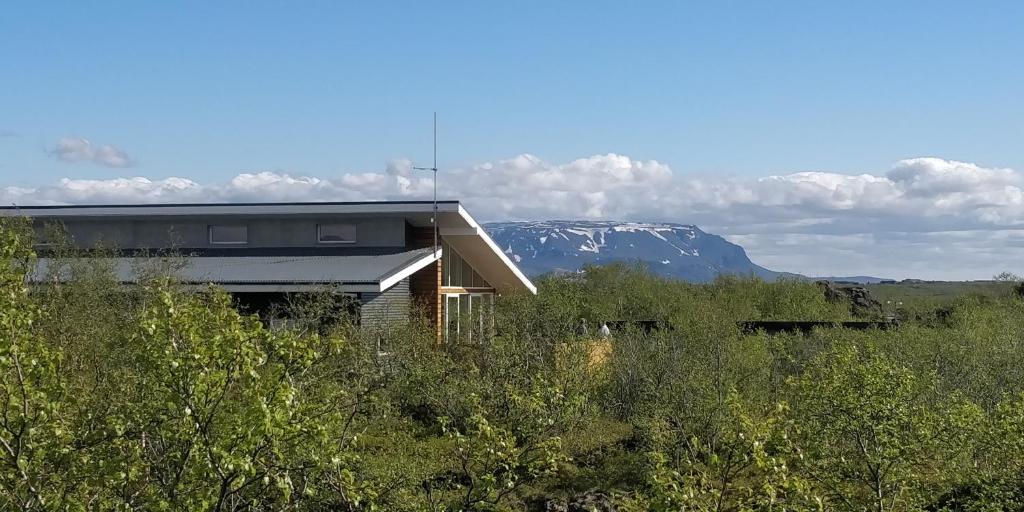 une maison dans un champ avec une montagne en arrière-plan dans l'établissement Birkilauf, à Mývatn