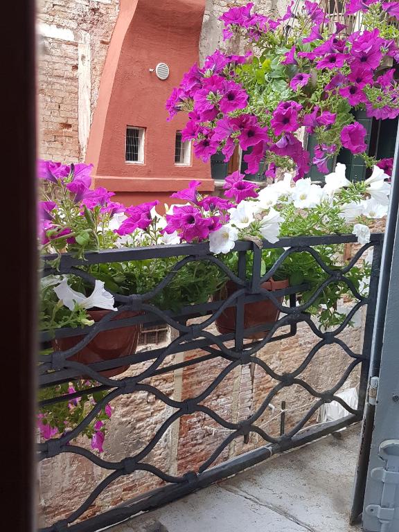 Friendly Venice Suites - 3