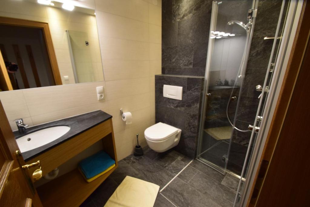 łazienka z prysznicem, toaletą i umywalką w obiekcie Haus Köhle w mieście Nauders