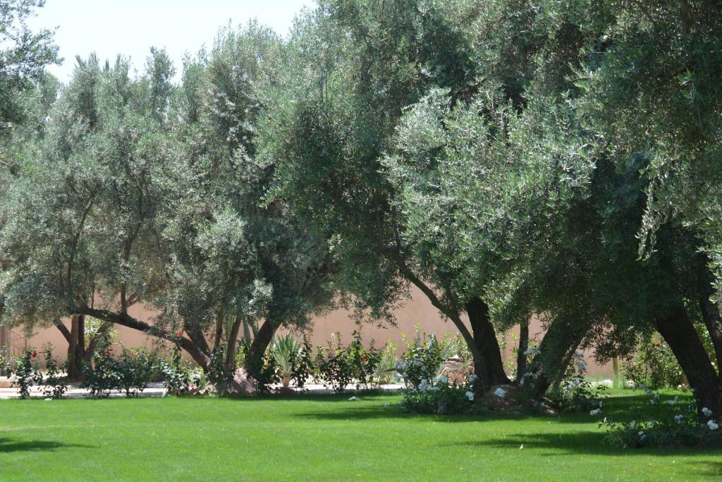 Zahrada ubytování Riad le Jasmin