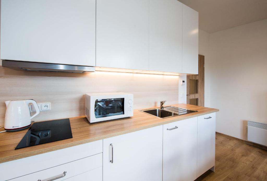 Kuchnia lub aneks kuchenny w obiekcie Apartmány Tina a Zdenka - Stožec