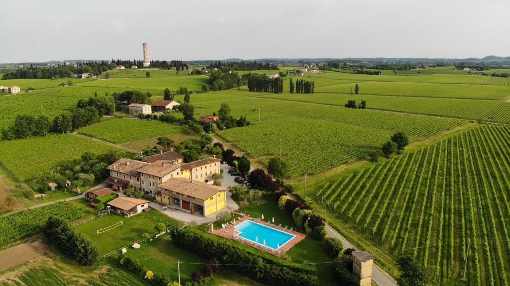 an aerial view of a house in a vineyard at Azienda Agrituristica Armea in Desenzano del Garda