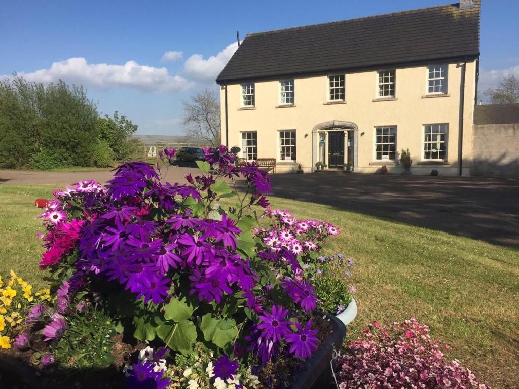 a house with purple flowers in front of a yard at The Rocks B&B in Crumlin