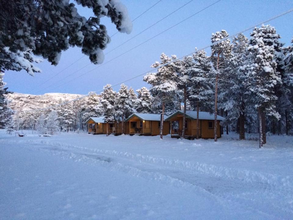 a log cabin in a snow covered field with trees at Solvang camping og leirsted in Alta