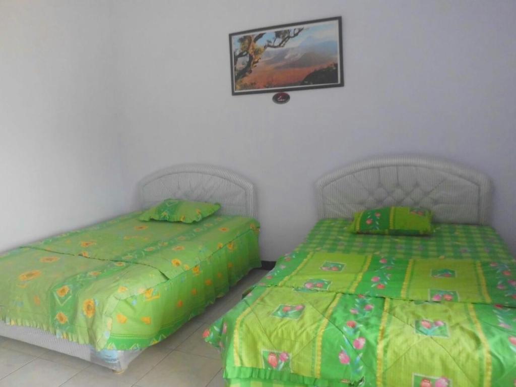 Hotel Nadia Bromo - Habitación Gemela Estándar