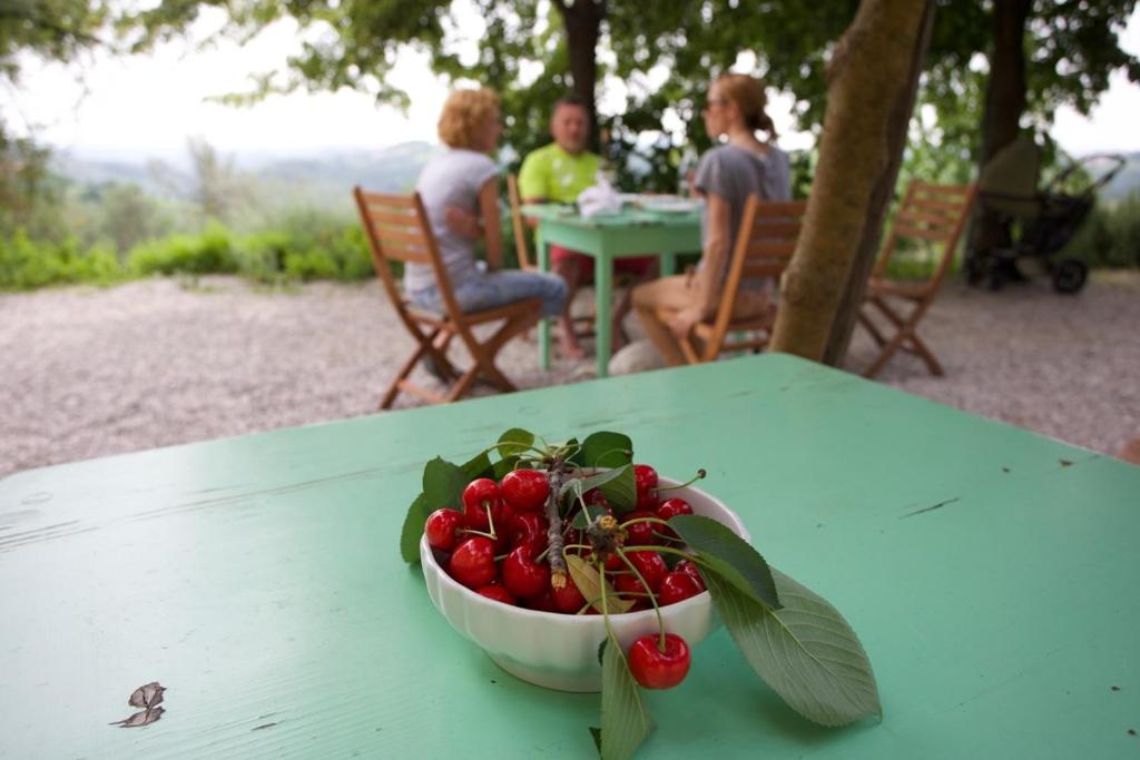 Hosté ubytování Farmstay Kmetija Štekar