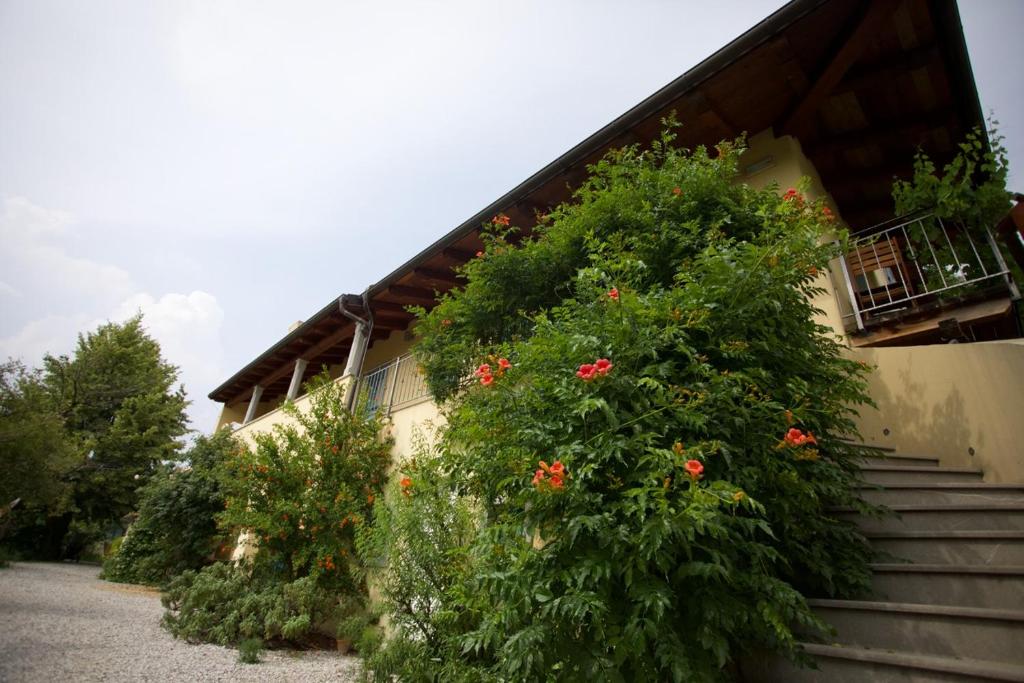 Zahrada ubytování Farmstay Kmetija Štekar