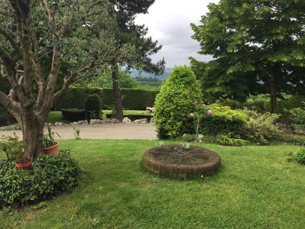 Zahrada ubytování Suite Villa Aurelj