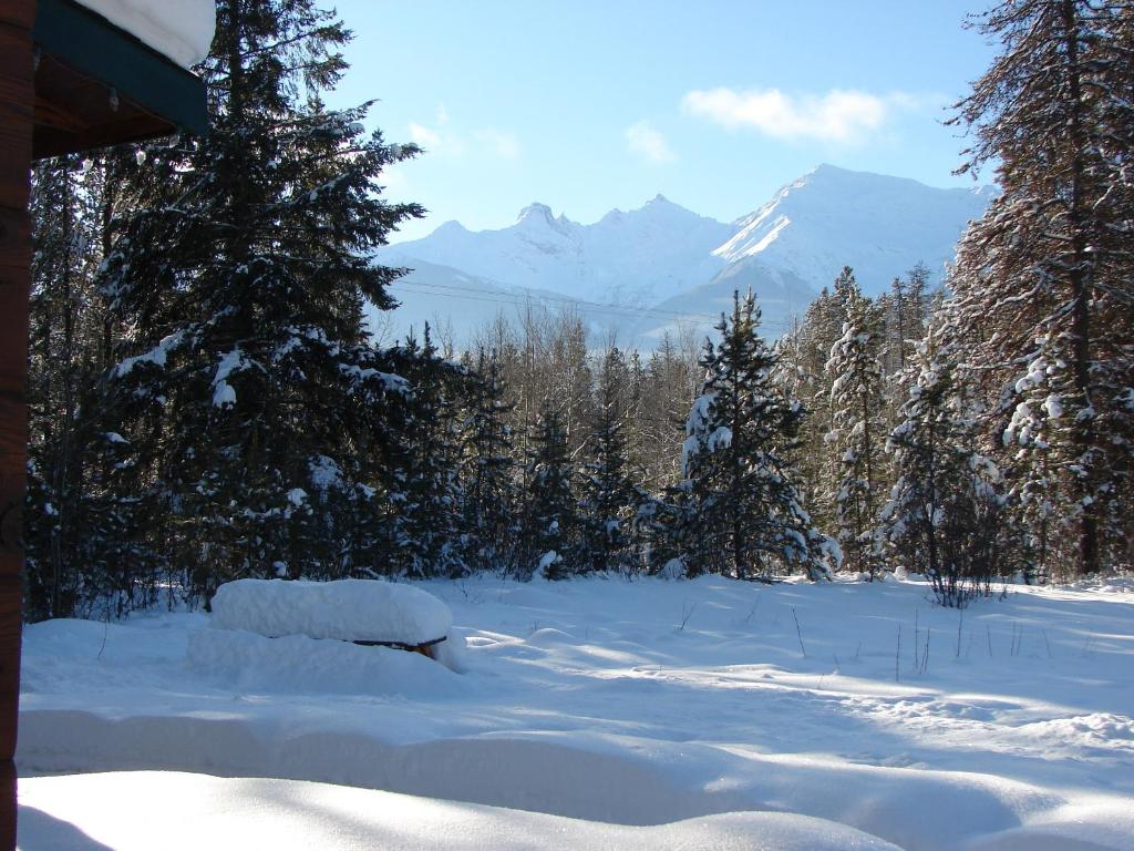 Mica Mountain Lodge & Log Cabins v zimě