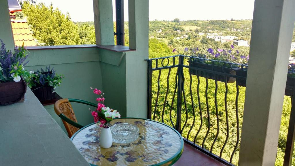 Zielone Wzgórze na Starówce - 7