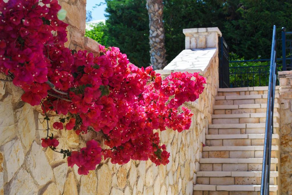 Fotografie z fotogalerie ubytování Tesori Dassia Villas v destinaci Dassia