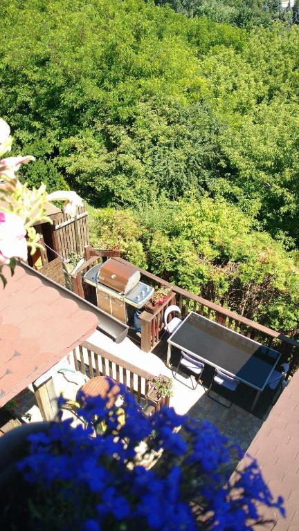 Zielone Wzgórze na Starówce - 8