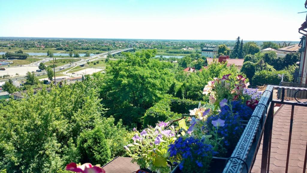 Zielone Wzgórze na Starówce - 6