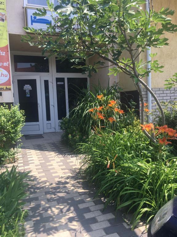 Zahrada ubytování Rózsakert Panzió