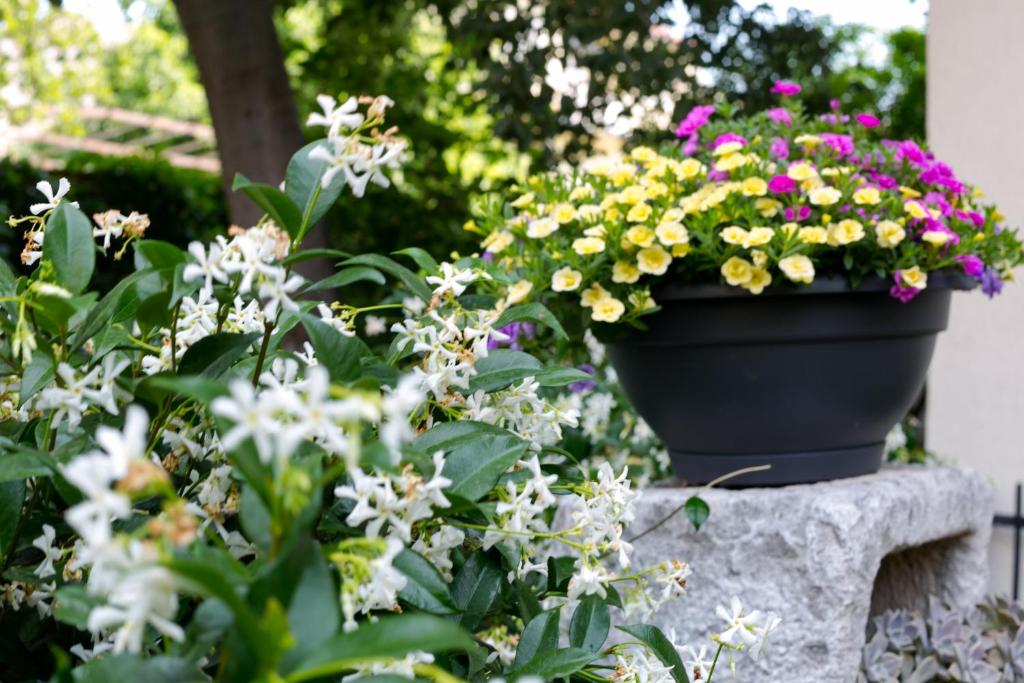 Vana & Tea Luxury Studio Apartment - 13