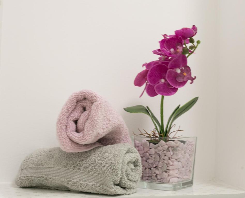 Vana & Tea Luxury Studio Apartment - 9