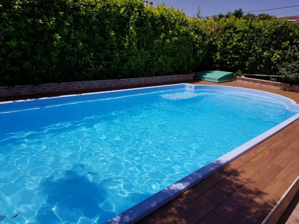a large blue swimming pool in a yard at Carla's rooms in Rome