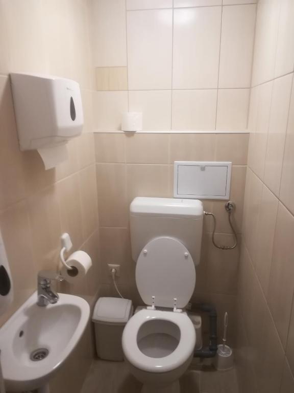 Koupelna v ubytování Pilóta Panzió