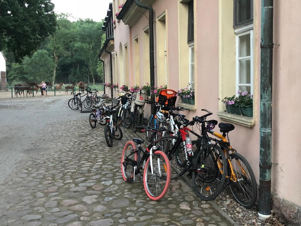 Jízda na kole v ubytování Dworek Bielin nebo okolí