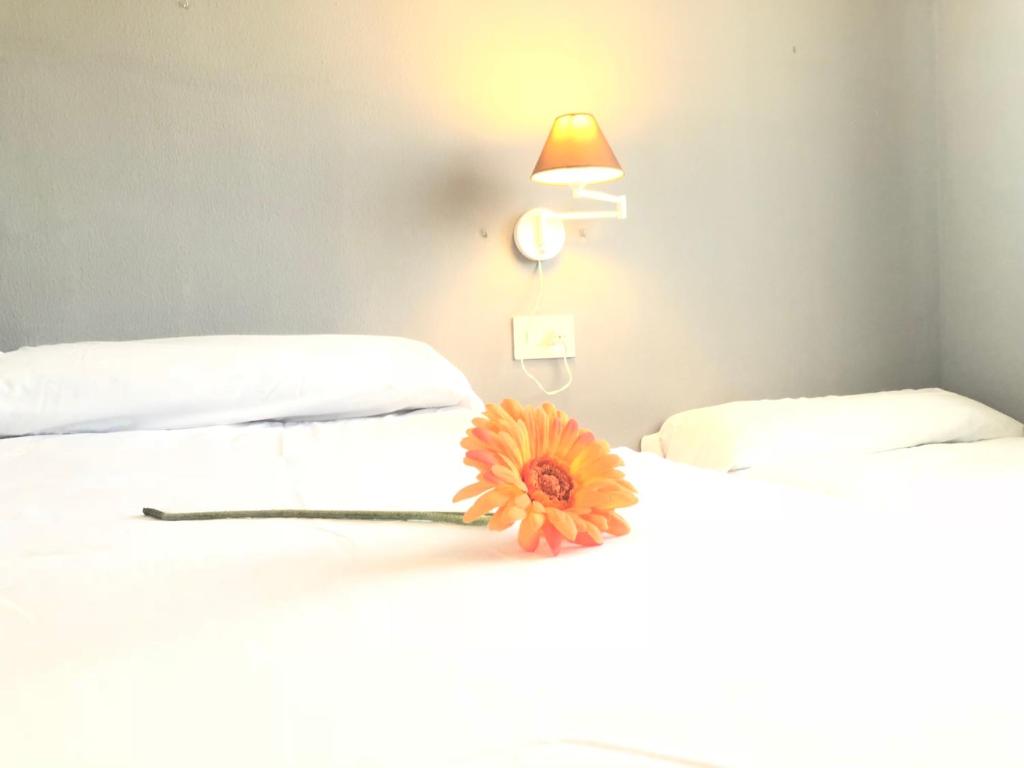 Fotografie z fotogalerie ubytování Shg La Sinia Mar Cambrils v destinaci Cambrils
