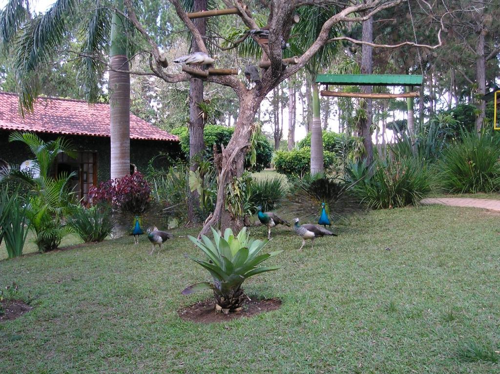  Estalagem Fazenda Lazer