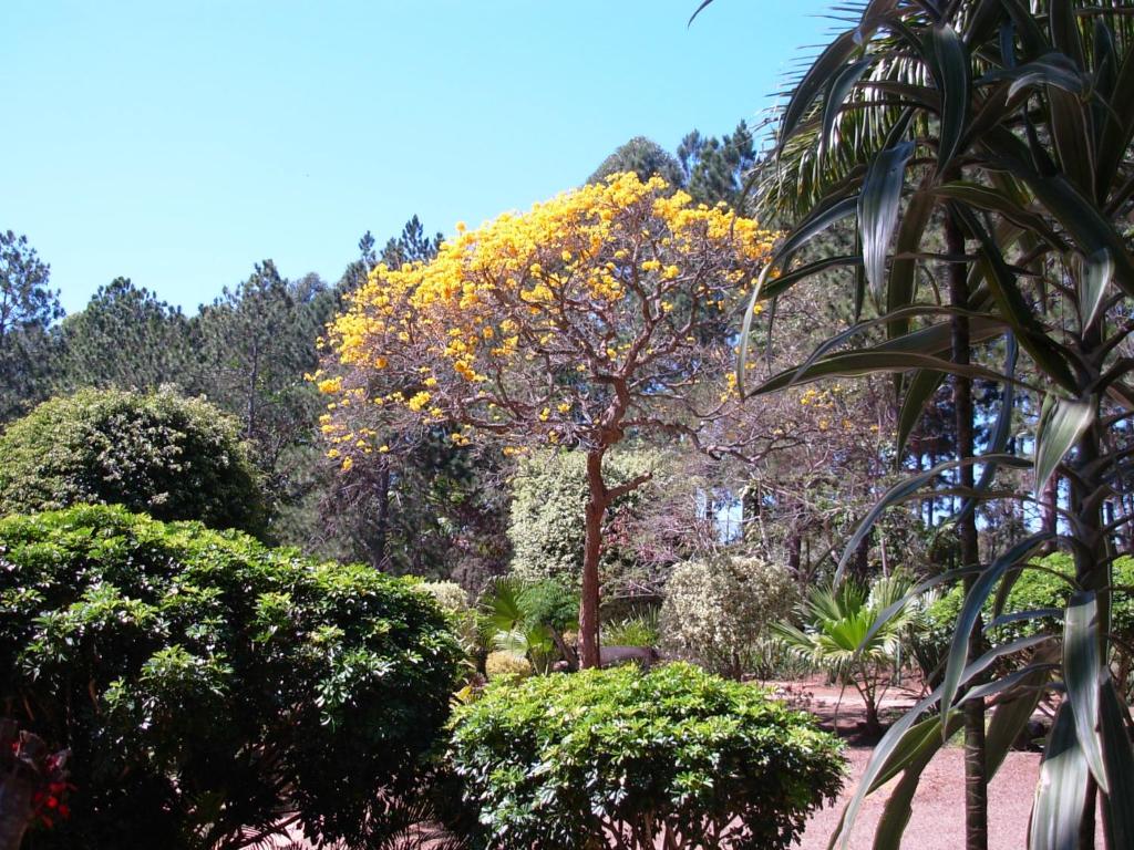  Estalagem Fazenda Lazer