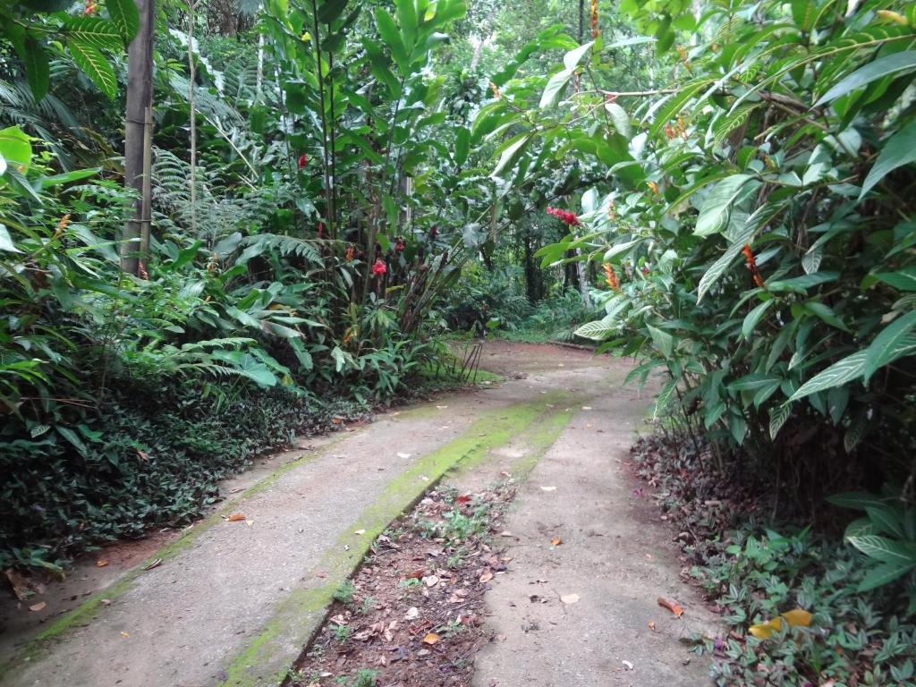 Beach House in Brazil