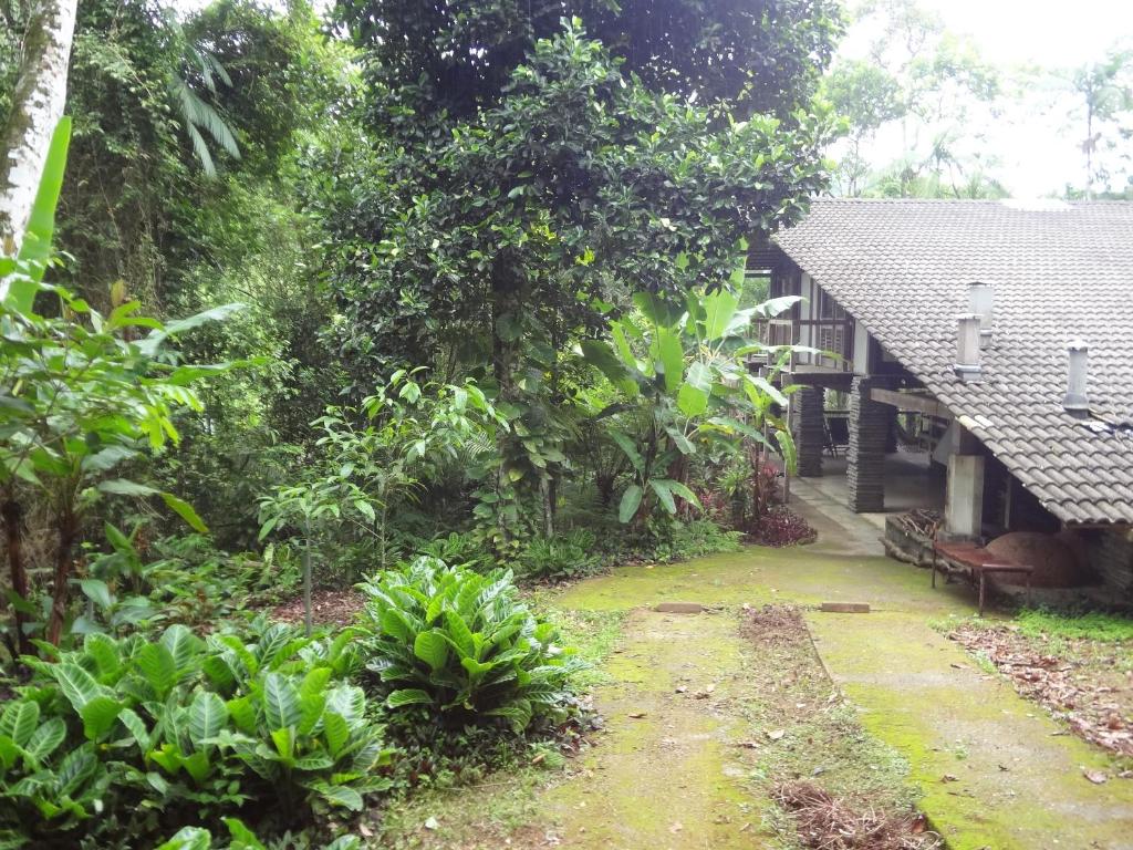  Beach House in Brazil