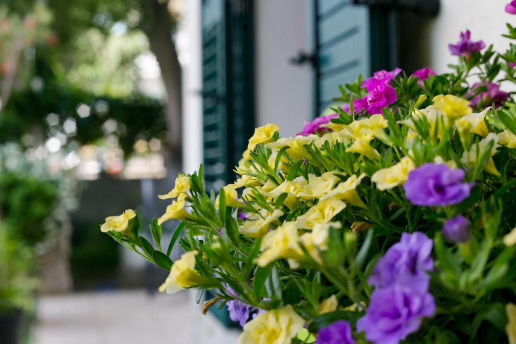 Vana & Tea Luxury Studio Apartment - 1