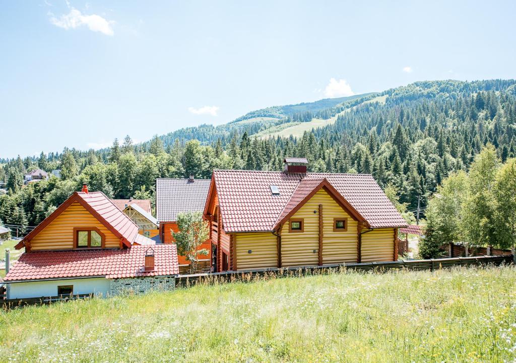 a group of wooden homes on a hill at Шалe у Пилипці Chalet Pylypets in Pilipets