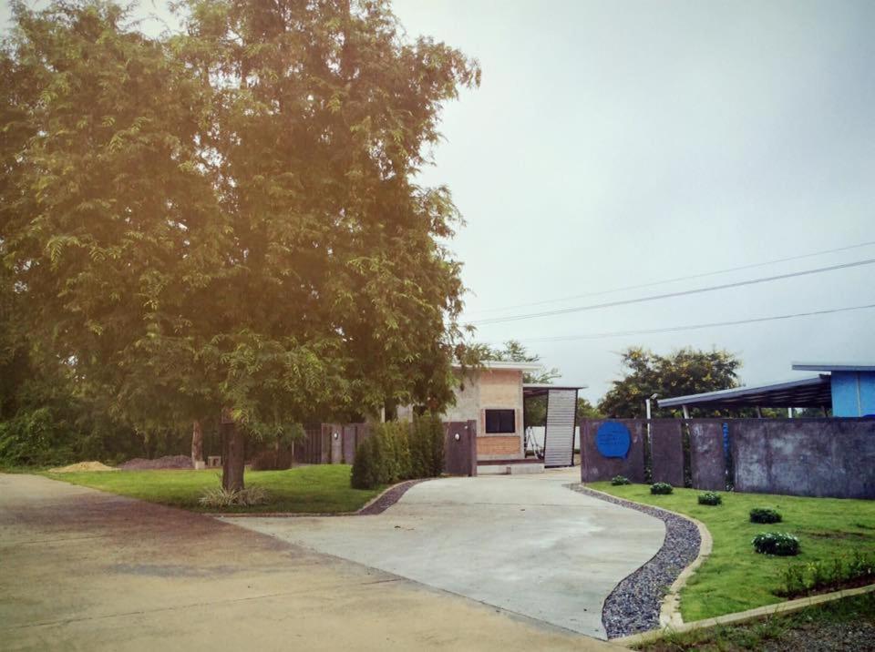 Zahrada ubytování SB Inn