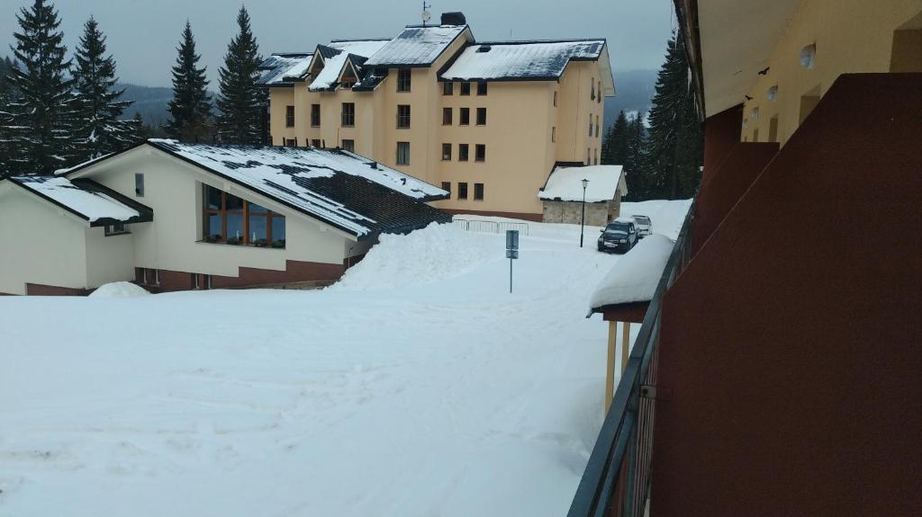 Apartman Poustevnik v zimě
