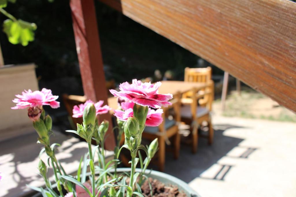 Zahrada ubytování Motel Lepo Mesto