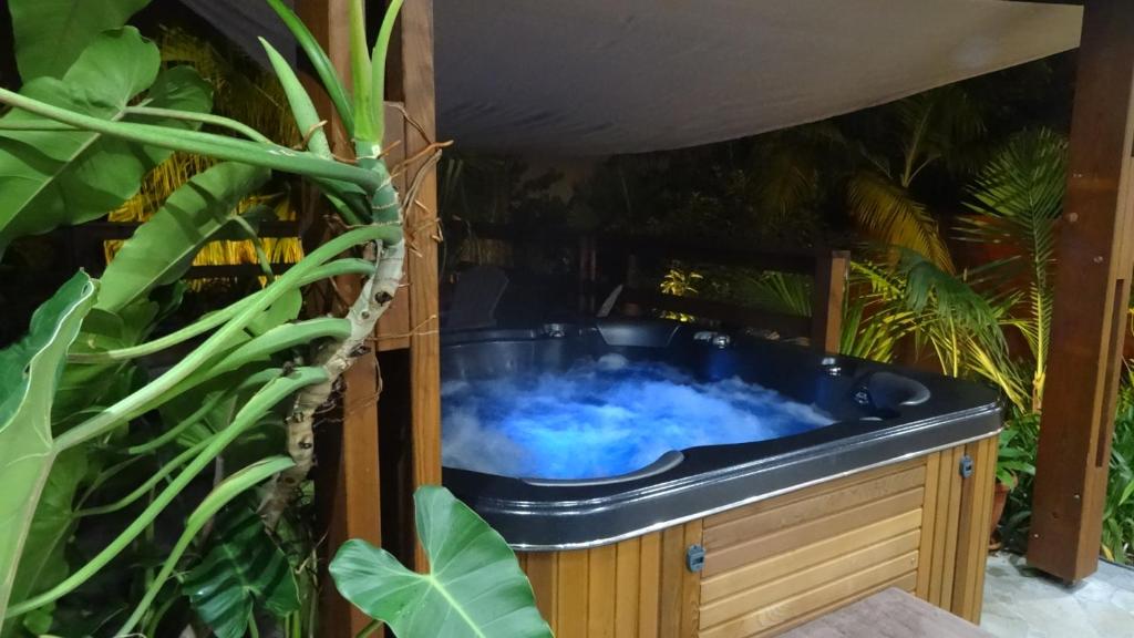 un bain à remous dans un jardin avec des plantes dans l'établissement Boule de bleu, à Le Tampon