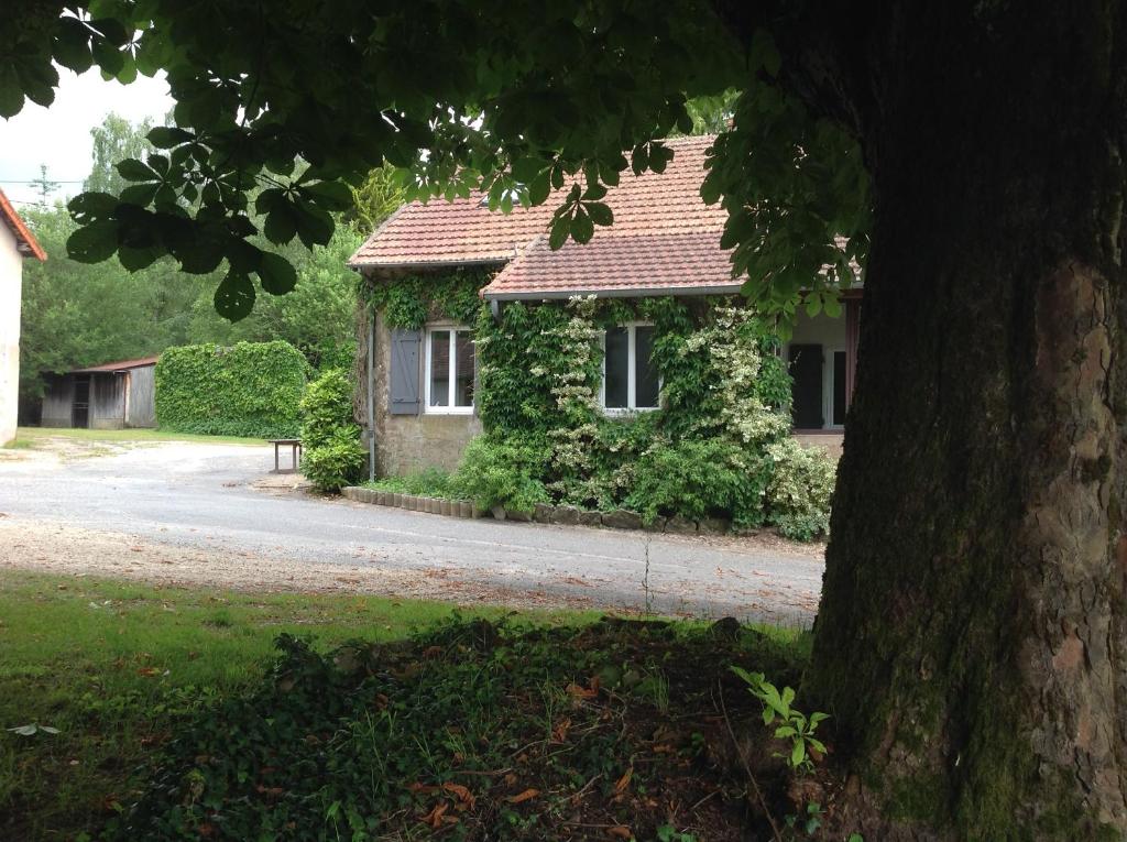 a house covered in ivy next to a tree at Meublé de tourisme &quot;Les brosses tillots&quot; in Mary