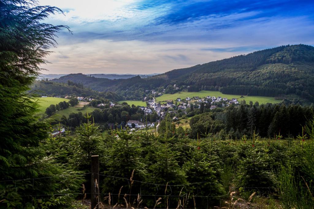 a view of a town in a green valley at Feldmann-Schütte in Schmallenberg