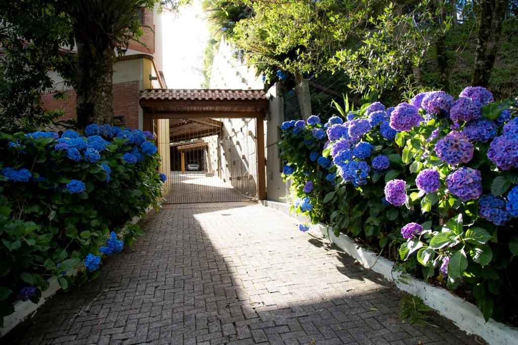 Morada das Hortensias 207  Morada das Hortensias 207