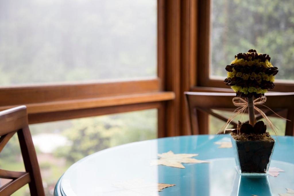 Morada das Hortensias 207  Morada das Hortensias 207