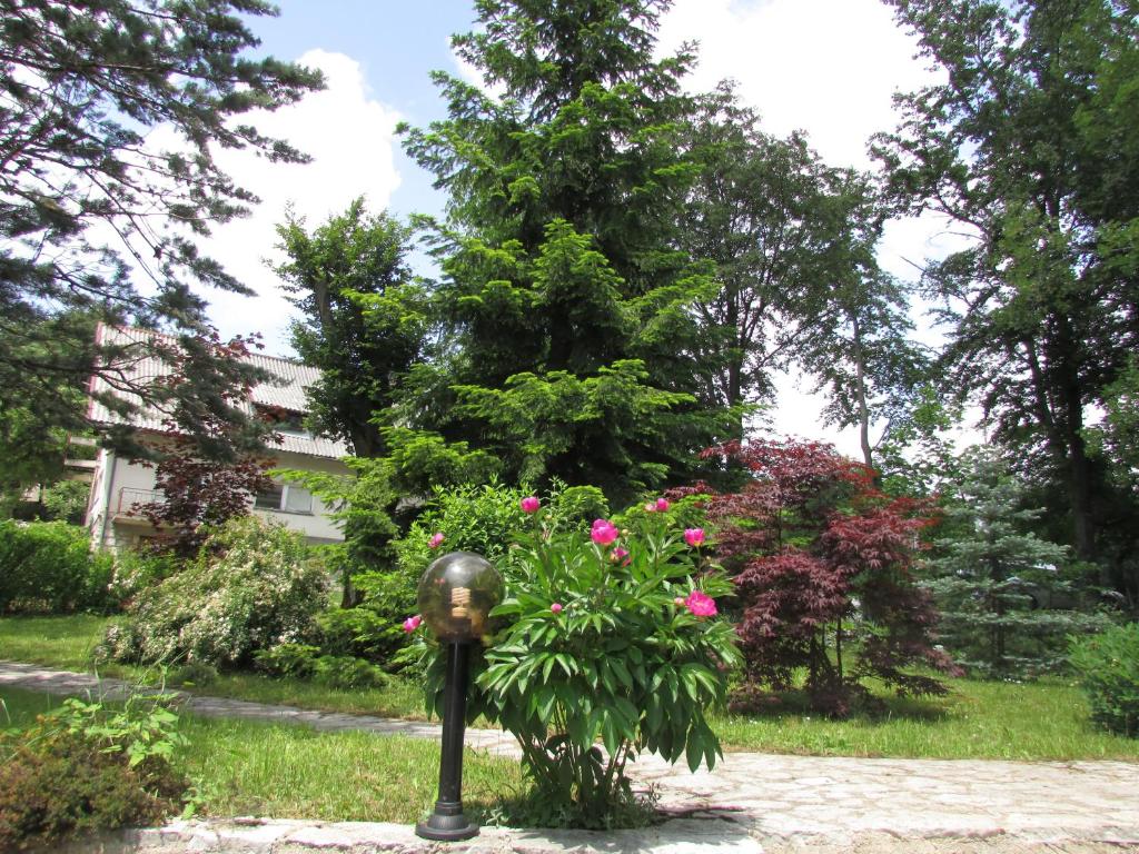 Guest House Nenad - 14