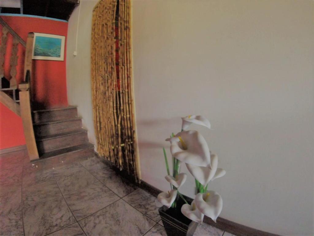  Vibe Hostel Paraty
