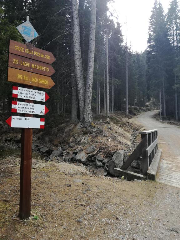 Příroda nedaleko apartmánu