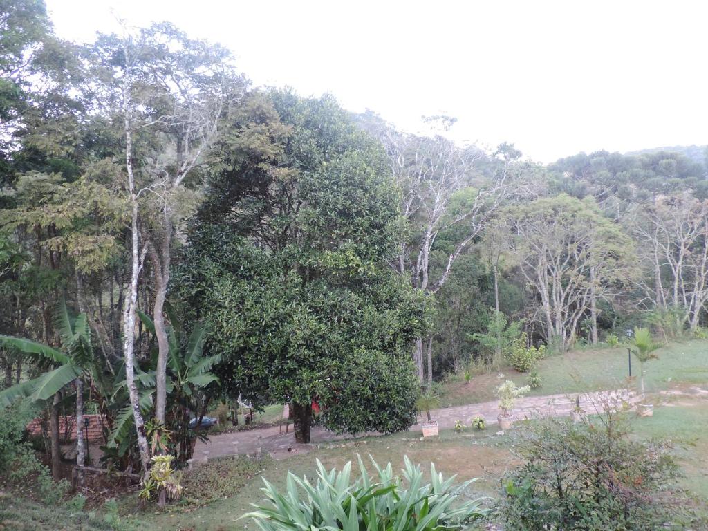  Sítio das Hortênsias