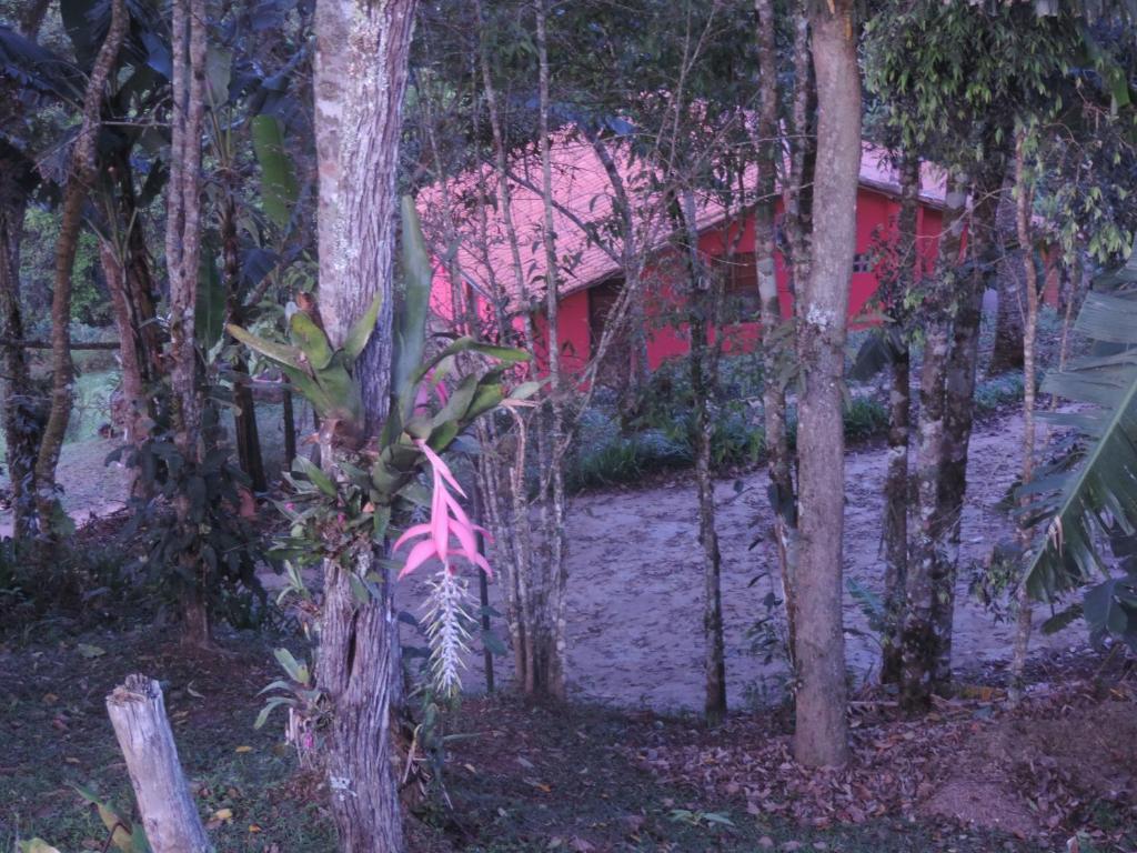  Sítio das Hortênsias